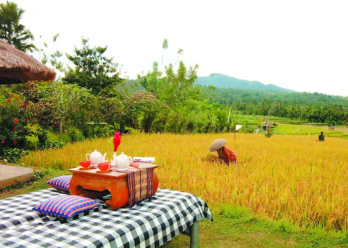 ホテル Puri Bagus 3*