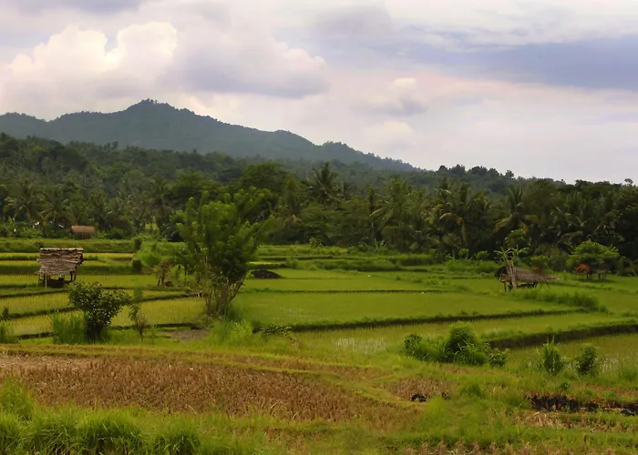 Puri Bagus