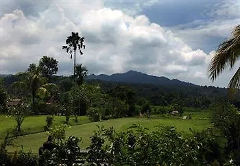 Puri Bagus 3*