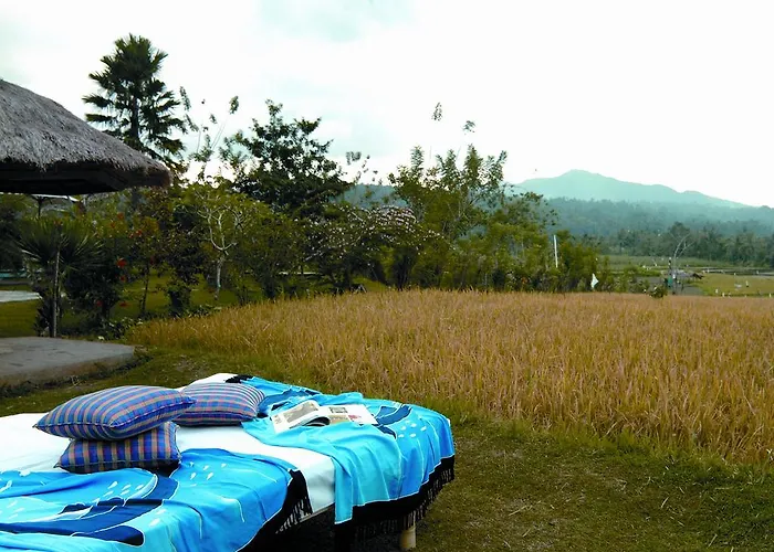 Puri Bagus ホテル 3*